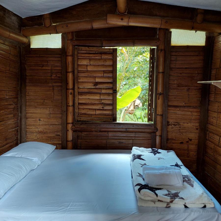 Hostal La Pijarana Salento Exteriér fotografie