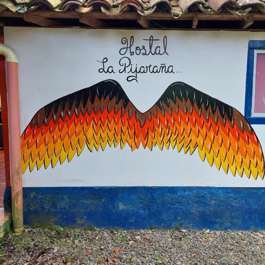 Hostal La Pijarana Salento Exteriér fotografie