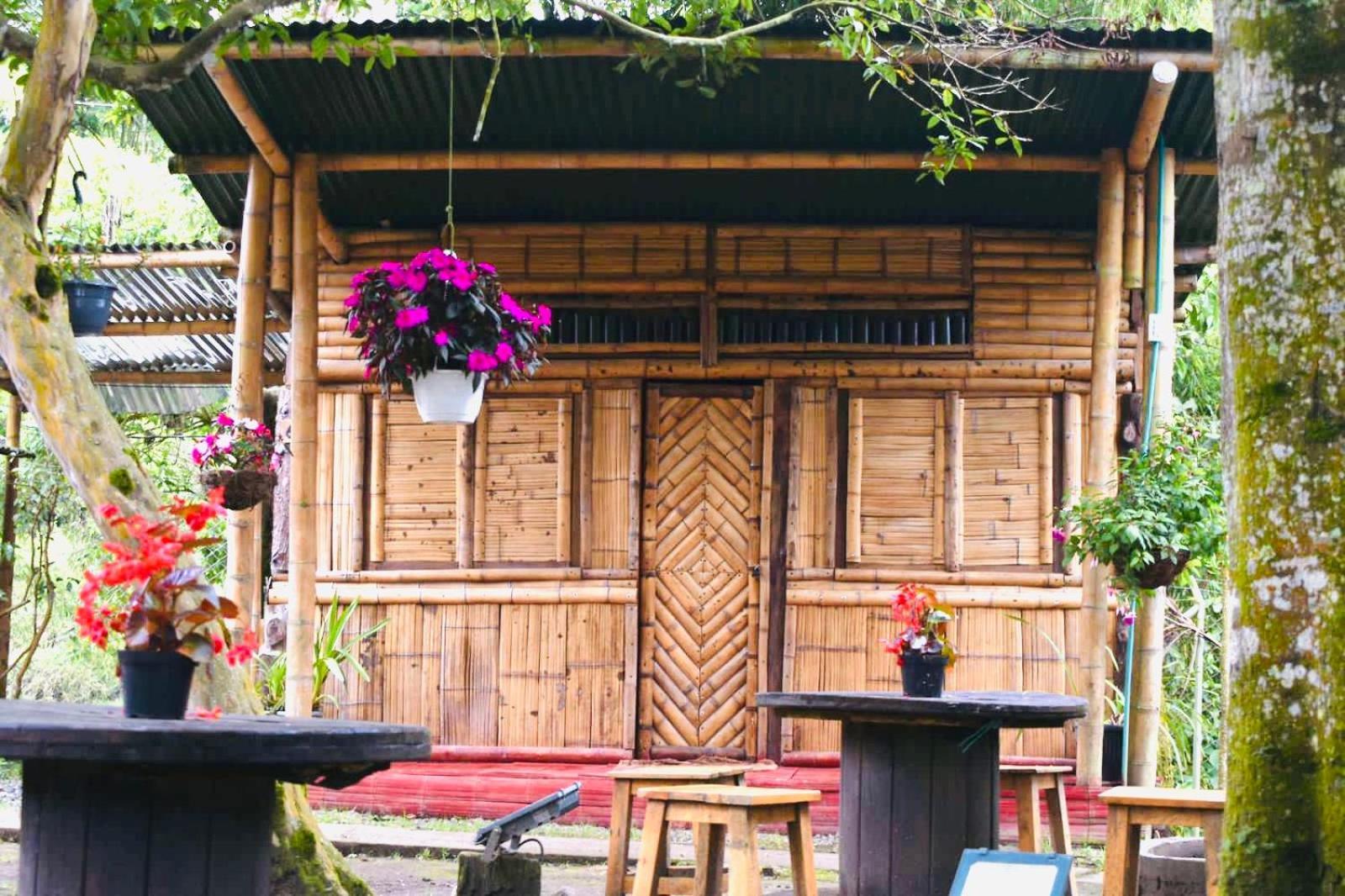 Hostal La Pijarana Salento Exteriér fotografie